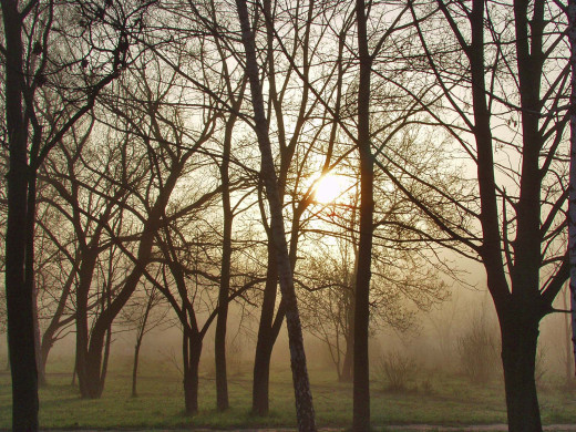 40386 (a): :1600x1200